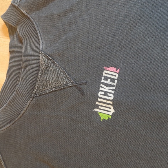 Aerie Wicked Big Chill Crew Neck Women’s Sweatshirt Smoked Gray Size Large - Picture 2 of 8